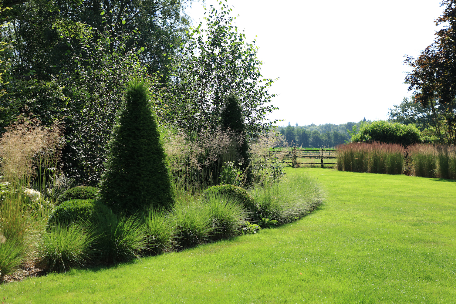 Landscaped garden with two triangular fir trees