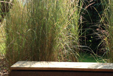 Log store bench in front of soft grass