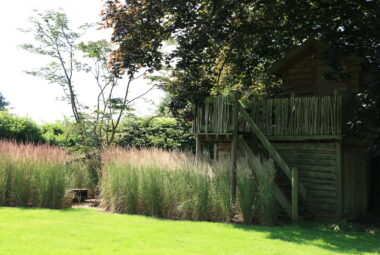 Grass meadow with steps to a wooden tree house