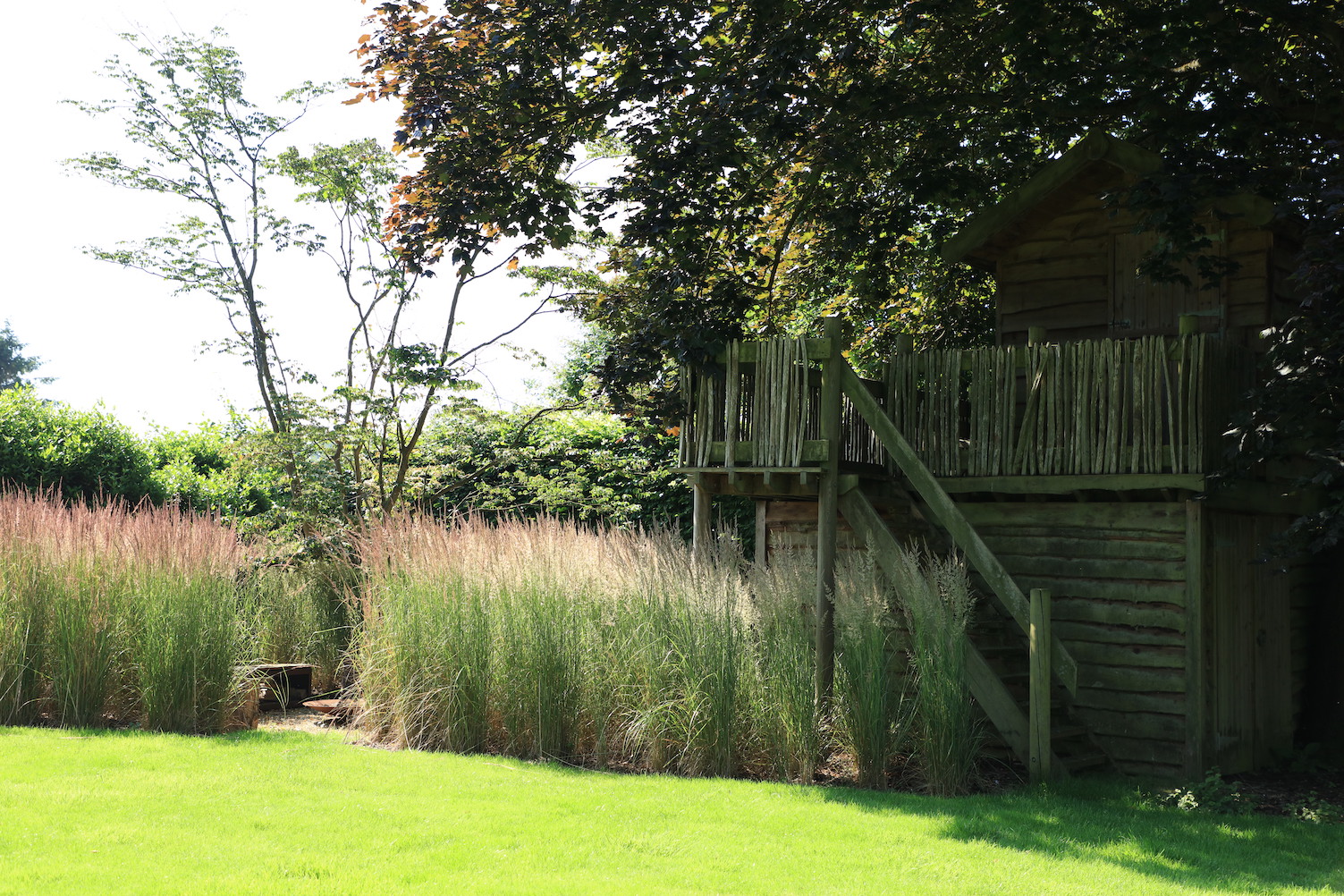 Grass meadow with steps to a wooden tree house