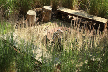 Fire pit with wooden benches and soft grasses