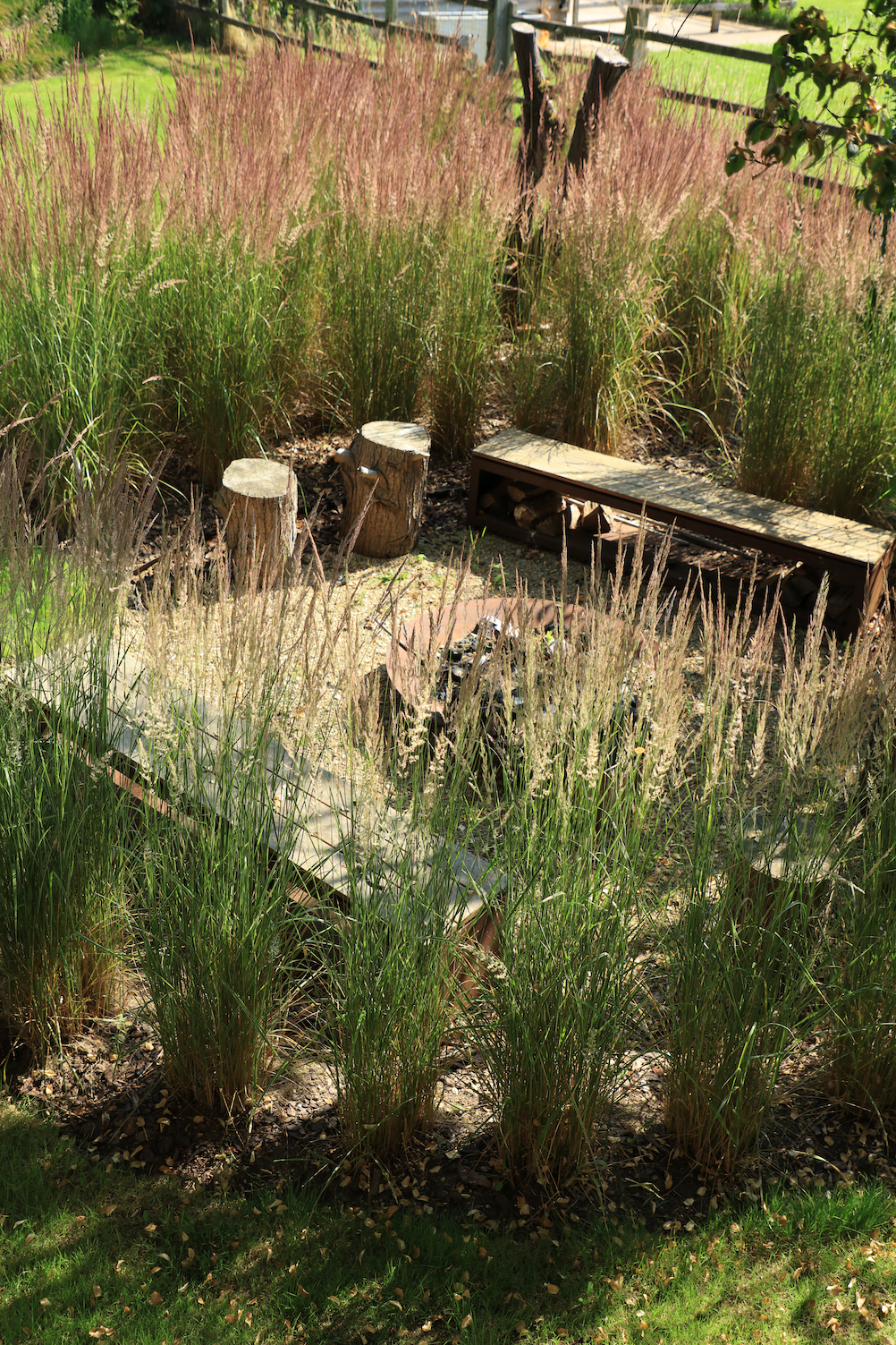 Fire pit with wooden benches and soft grasses