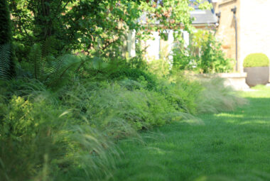 Lawn edging filled with soft grass and ferns planting