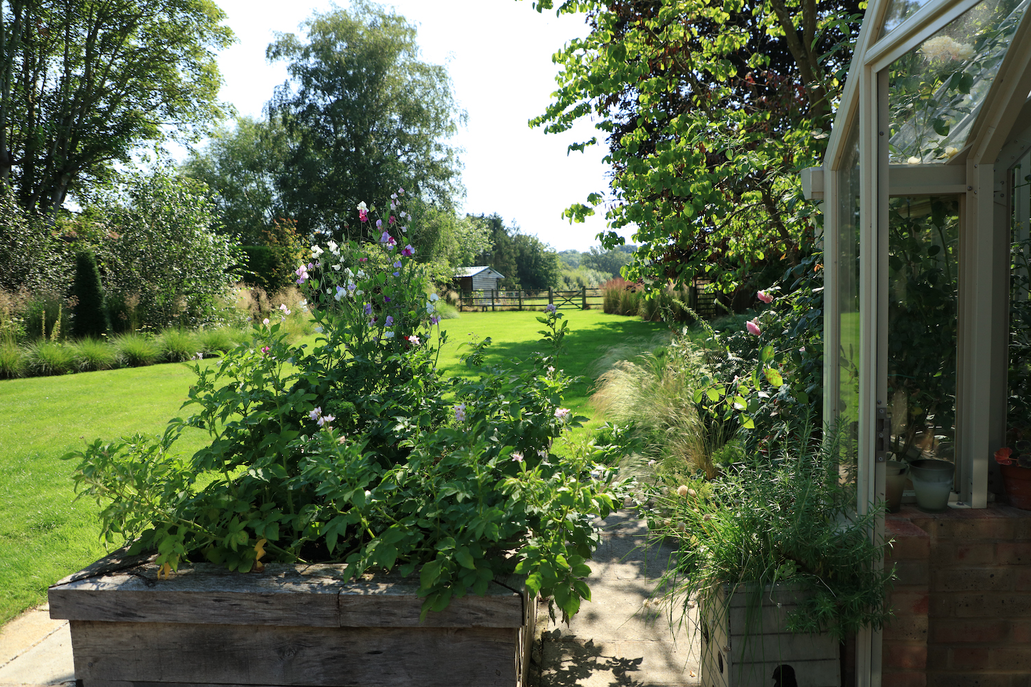 view of the whole garden with a glass house and wooden raised bed