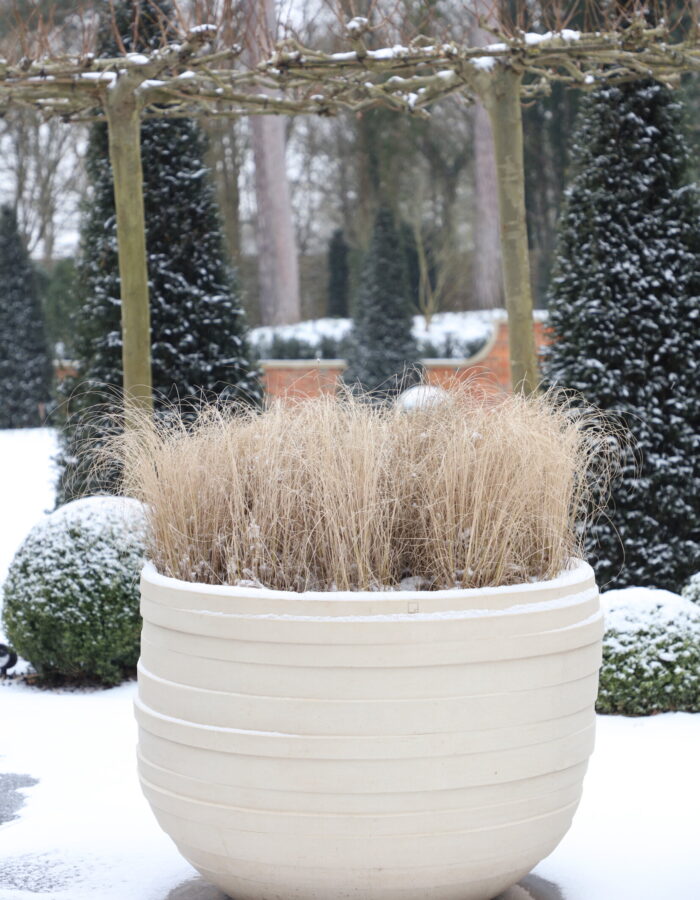 Snow scene of winter grasses inside large cream planter at harpsden wood house