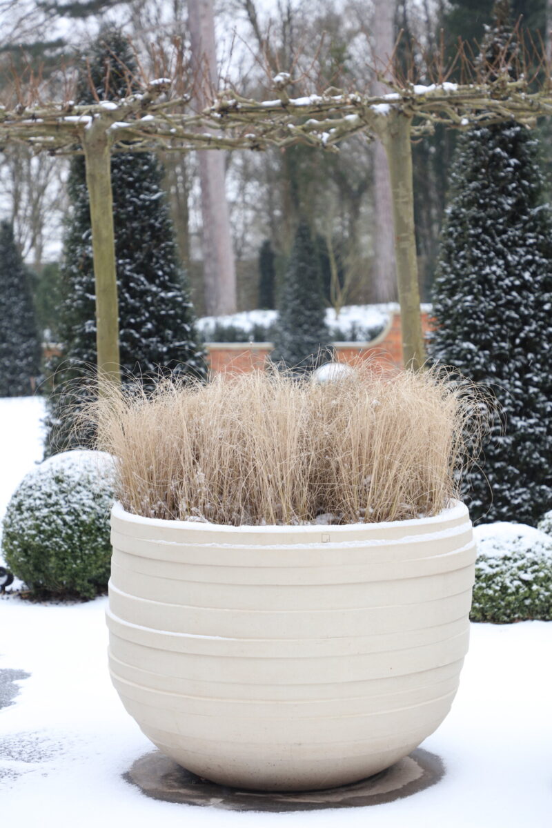Snow scene of winter grasses inside large cream planter at harpsden wood house