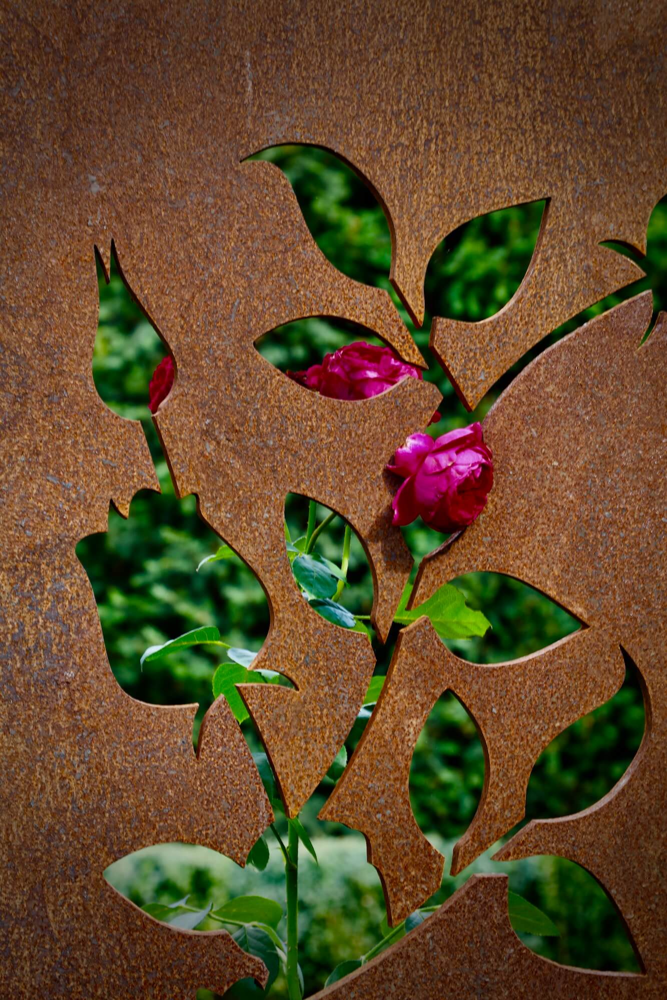 corten bespoke garden rose design Oxfordshire