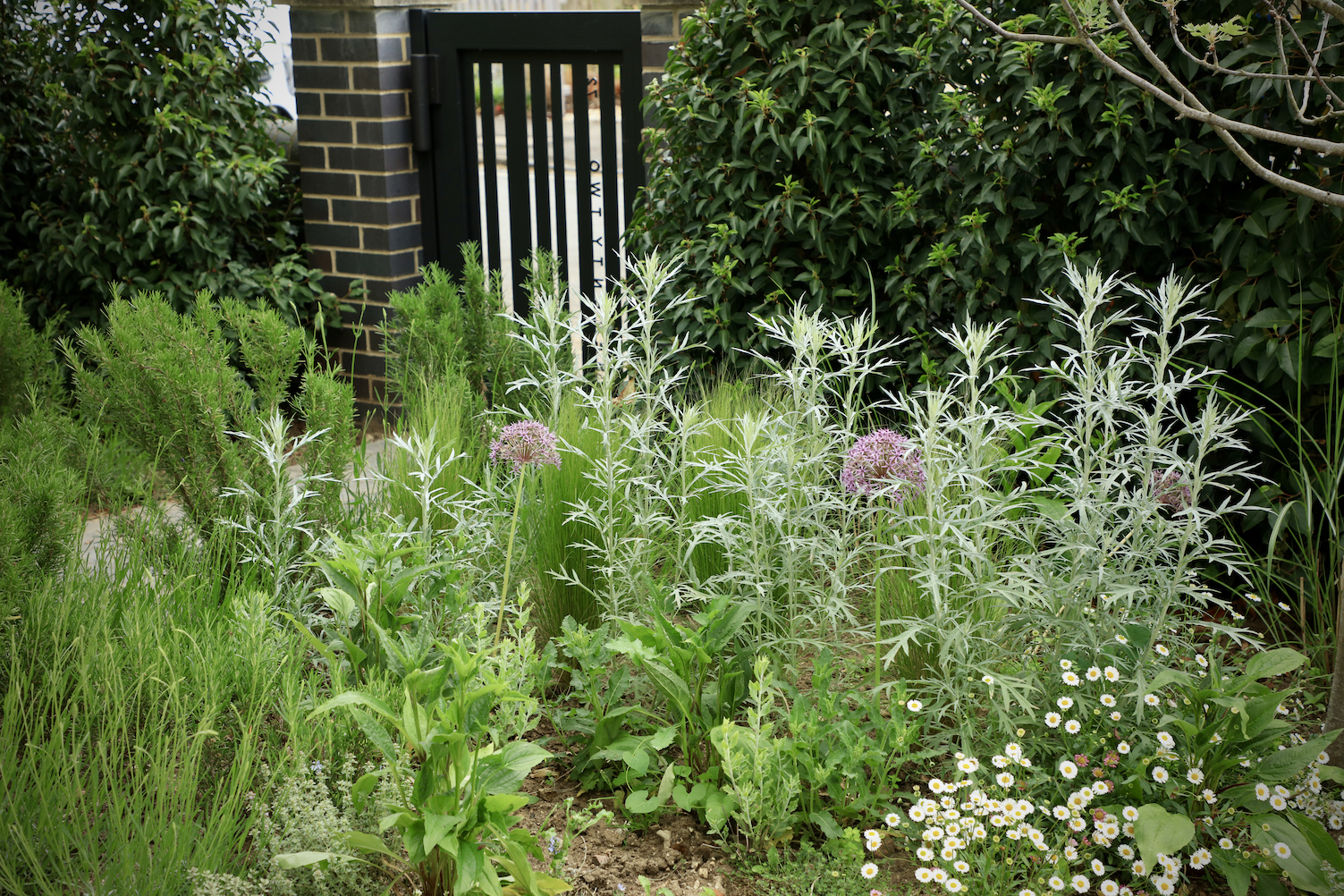 bespoke gate behind lush green planting