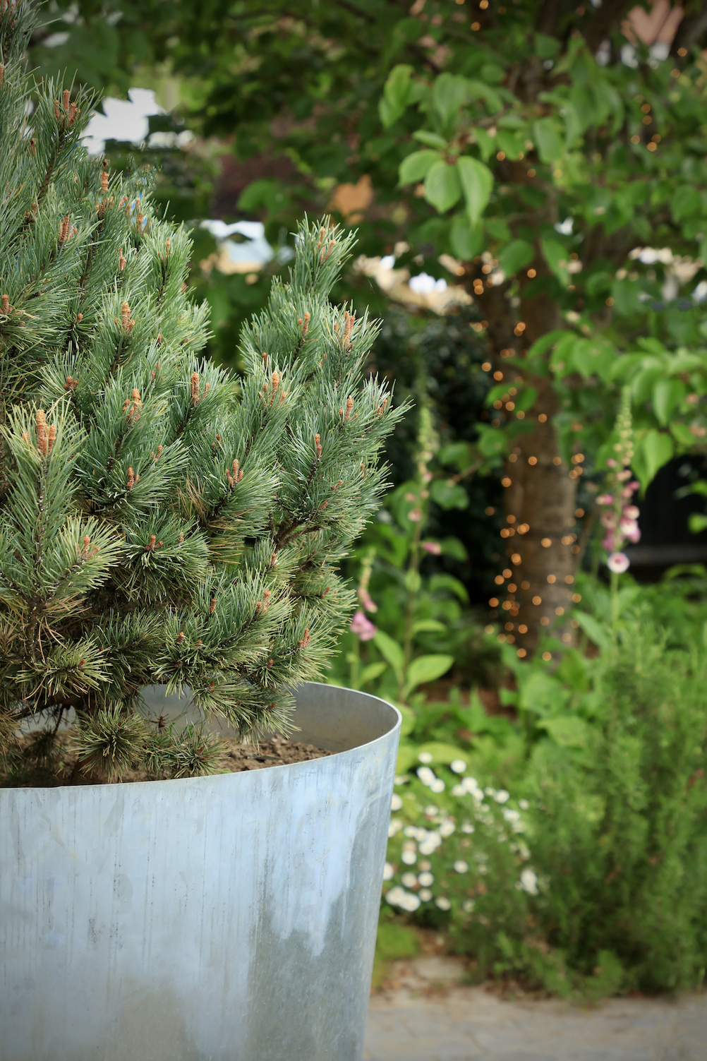 Metal planter in front of garden plants and trees