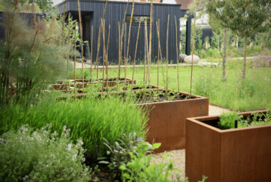 Row of sweet pea planters in front of home garden studio