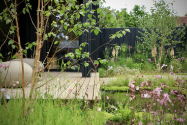 Shot of private garden studio through flower planting