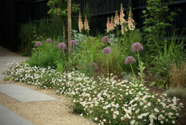 Flowers planted on edge of shingle pathway