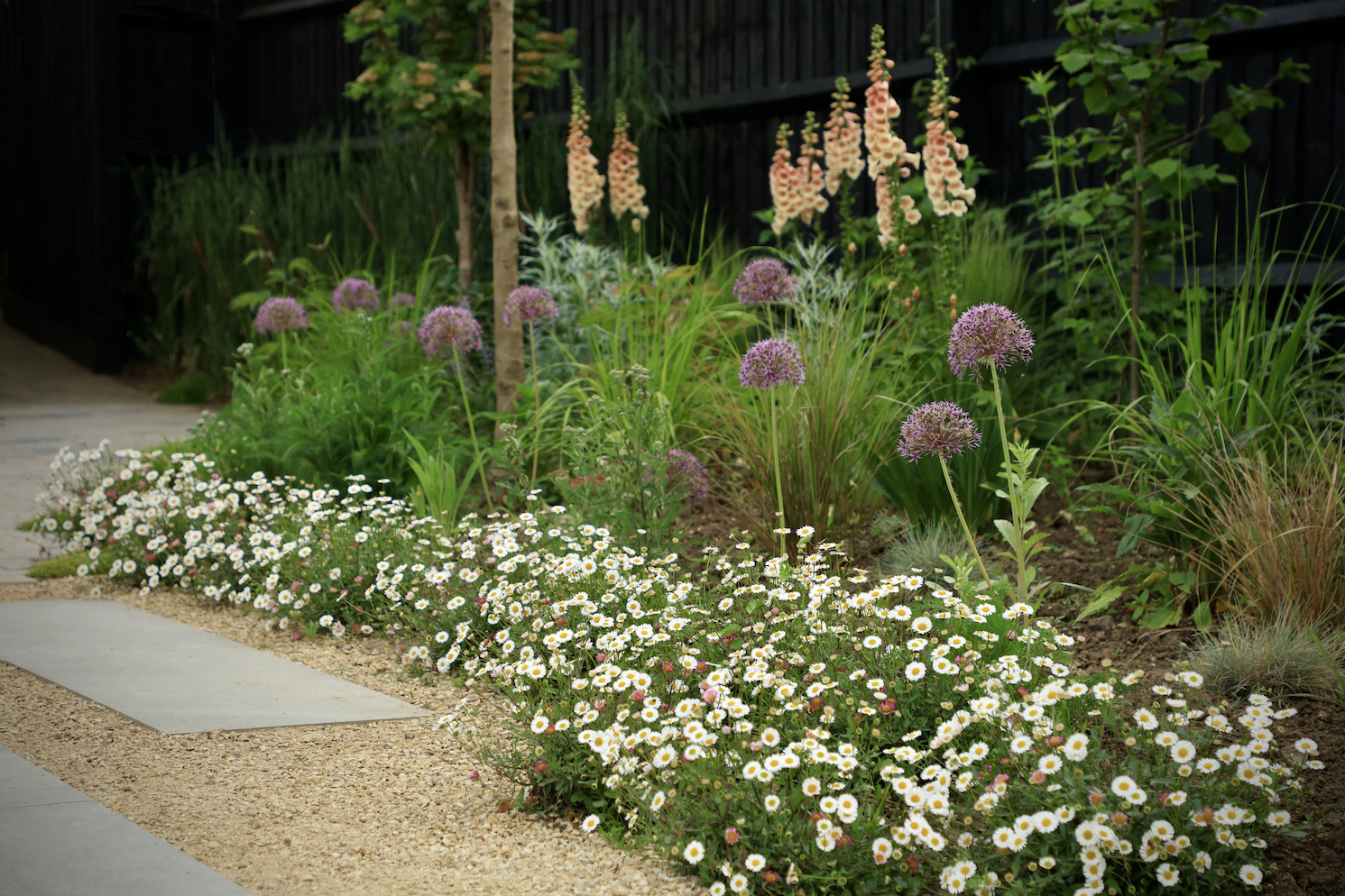 Flowers planted on edge of shingle pathway