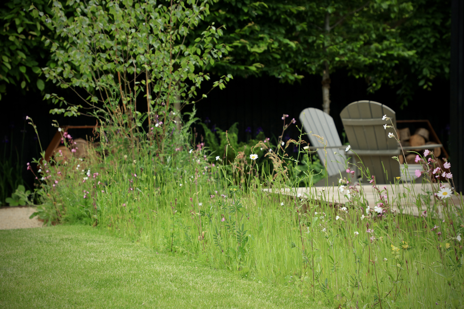 strip of wild flowers growing along edge of a lawn