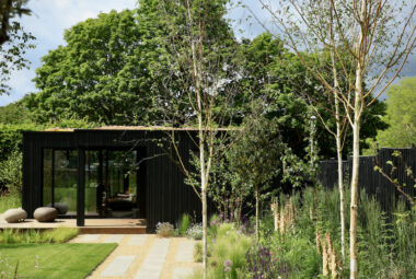 Bitch trees in garden border alongside home office