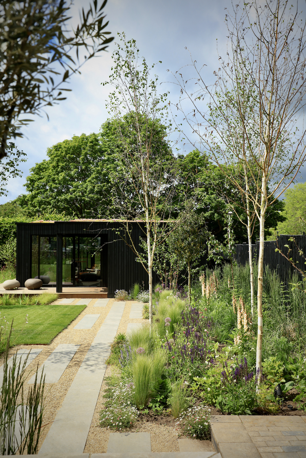 Bitch trees in garden border alongside home office