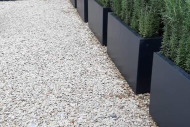 Rosemary hedging in rectangular planters with white stone