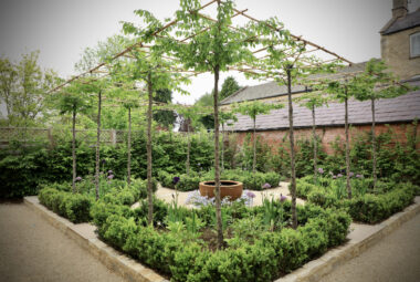 View of a parterre garden with pleached mop head trees