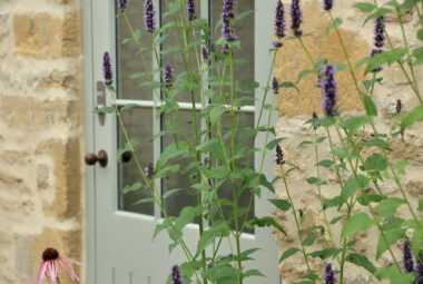 View of barn door painted in pale green with big glass windows and cotswold stone