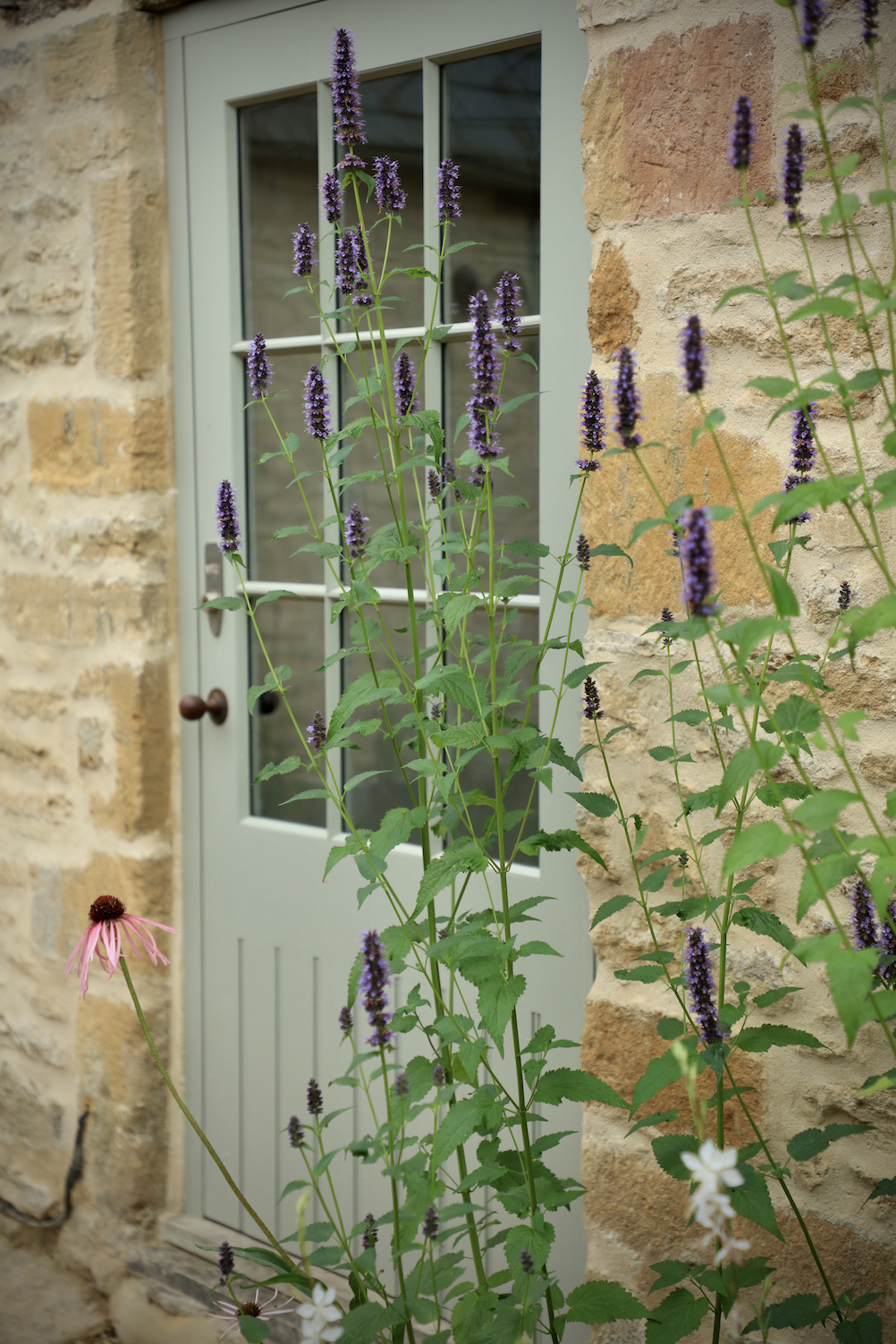 View of barn door painted in pale green with big glass windows and cotswold stone
