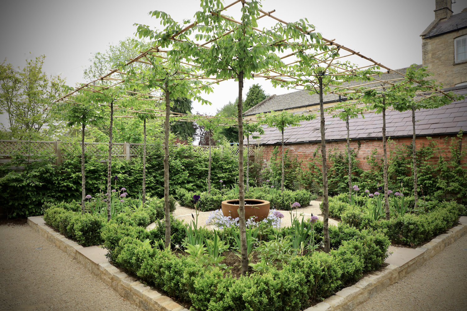 View of a parterre garden with pleached mop head trees