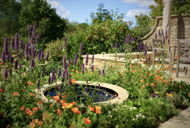 Water bowl in the centre of wild meadow planting in vidid purples and oranges