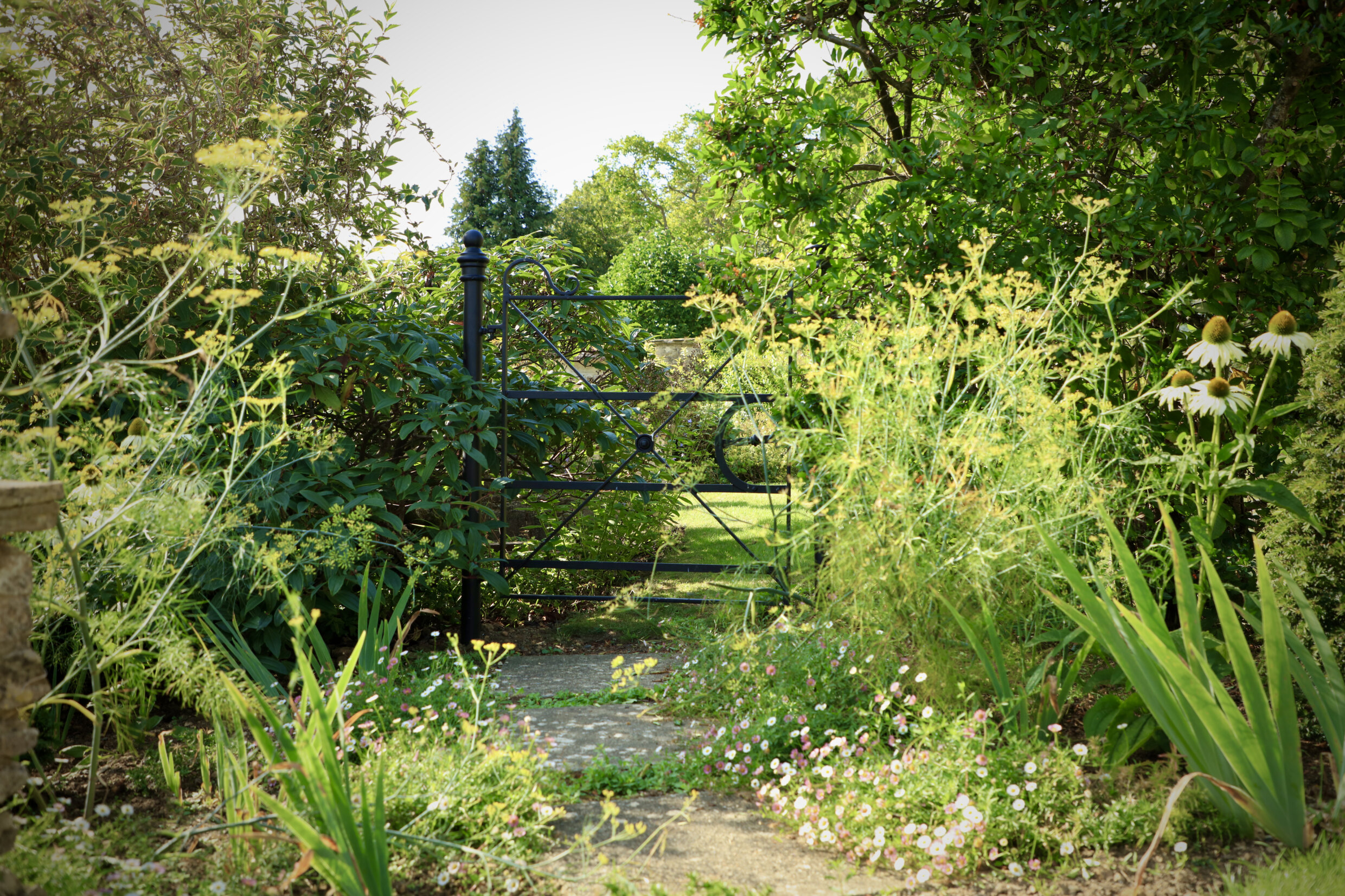 Black estate side gate with lots of wild meadow like planting