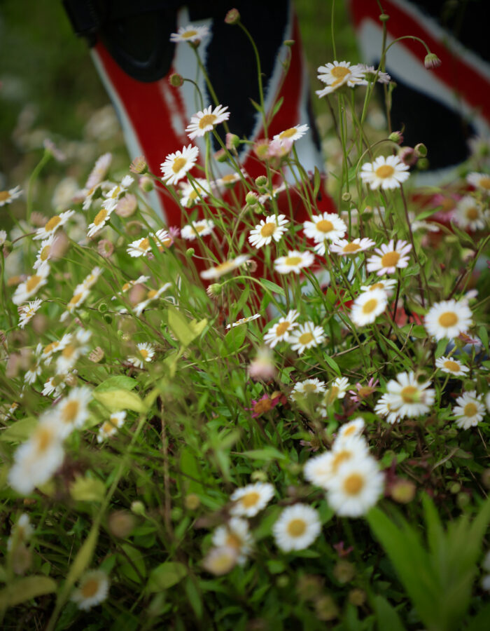 Union Jack flag wellie boots in a meadow field