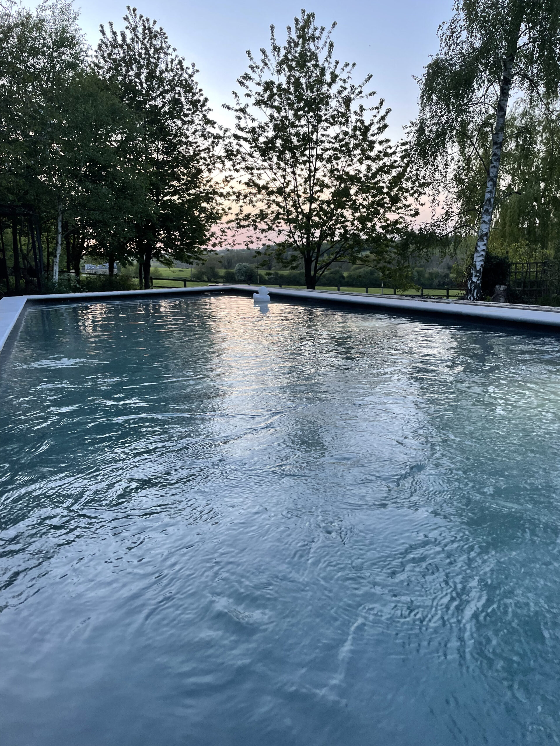 SWIMMING POOL LANDSCAPE