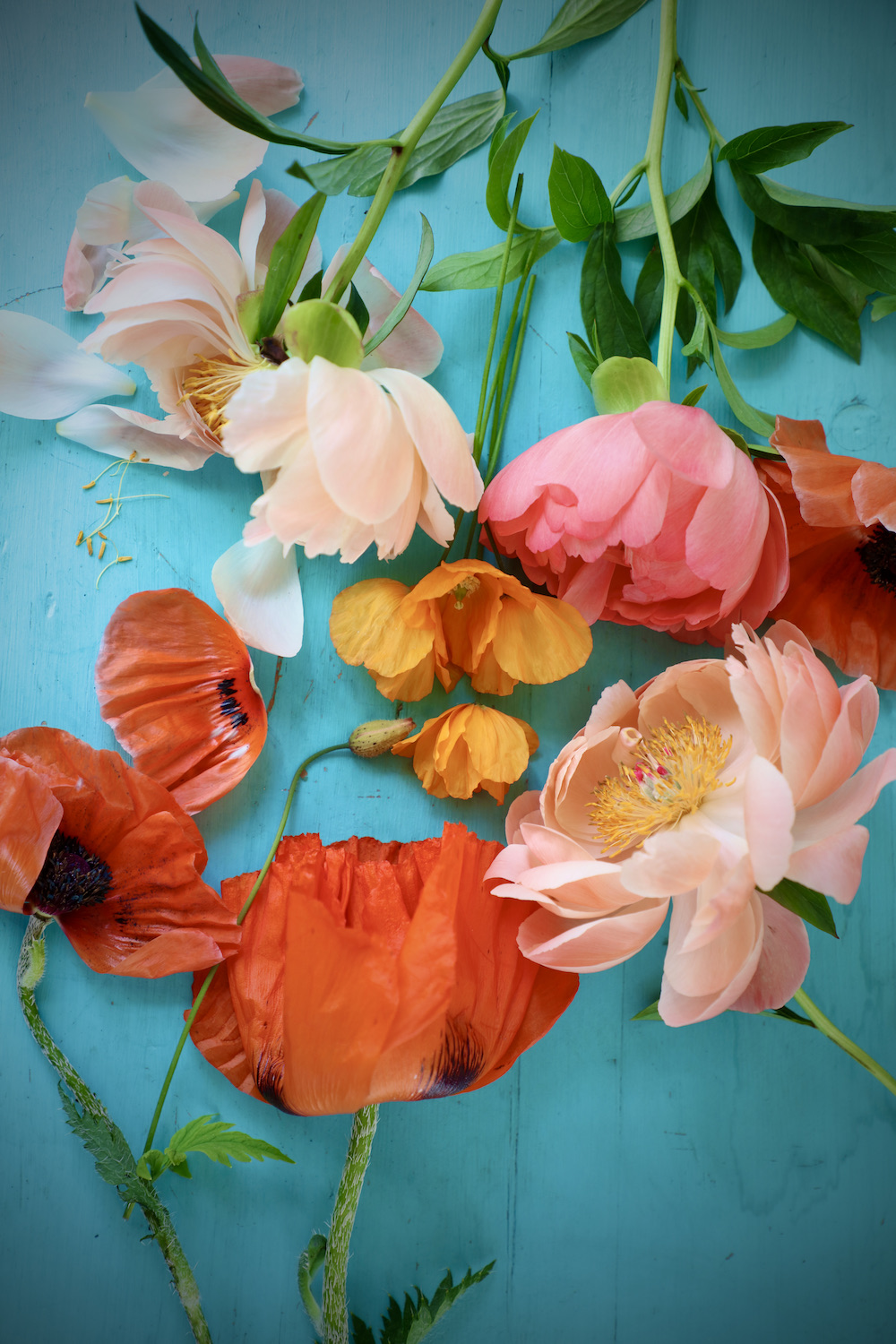Selection of vibrant orange and soft pink peonies and poppies