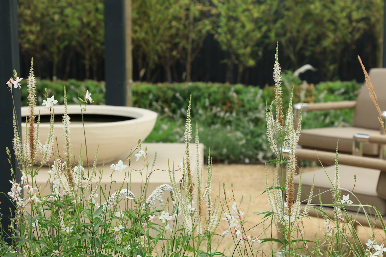 townhouse oxford garden with water bowl