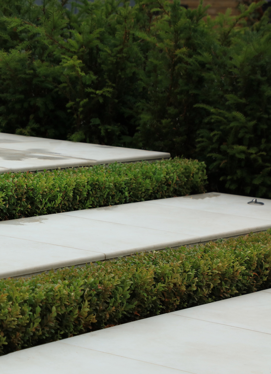 Porcelain tile steps with Buxus 