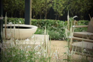 Border filled with multi-seasonal white flowers