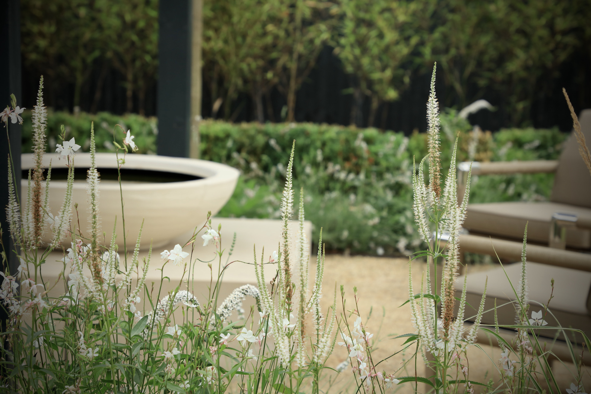 Border filled with multi-seasonal white flowers