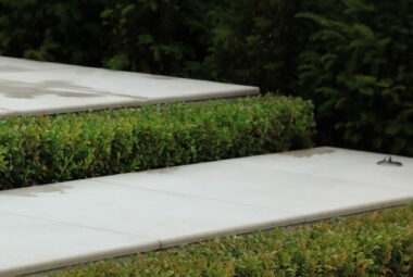 Buxus steps between porcelain paving tiles