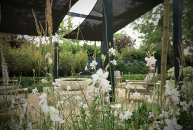 Whirling butterfly Gaura planted alongside Karl Forester Grasses