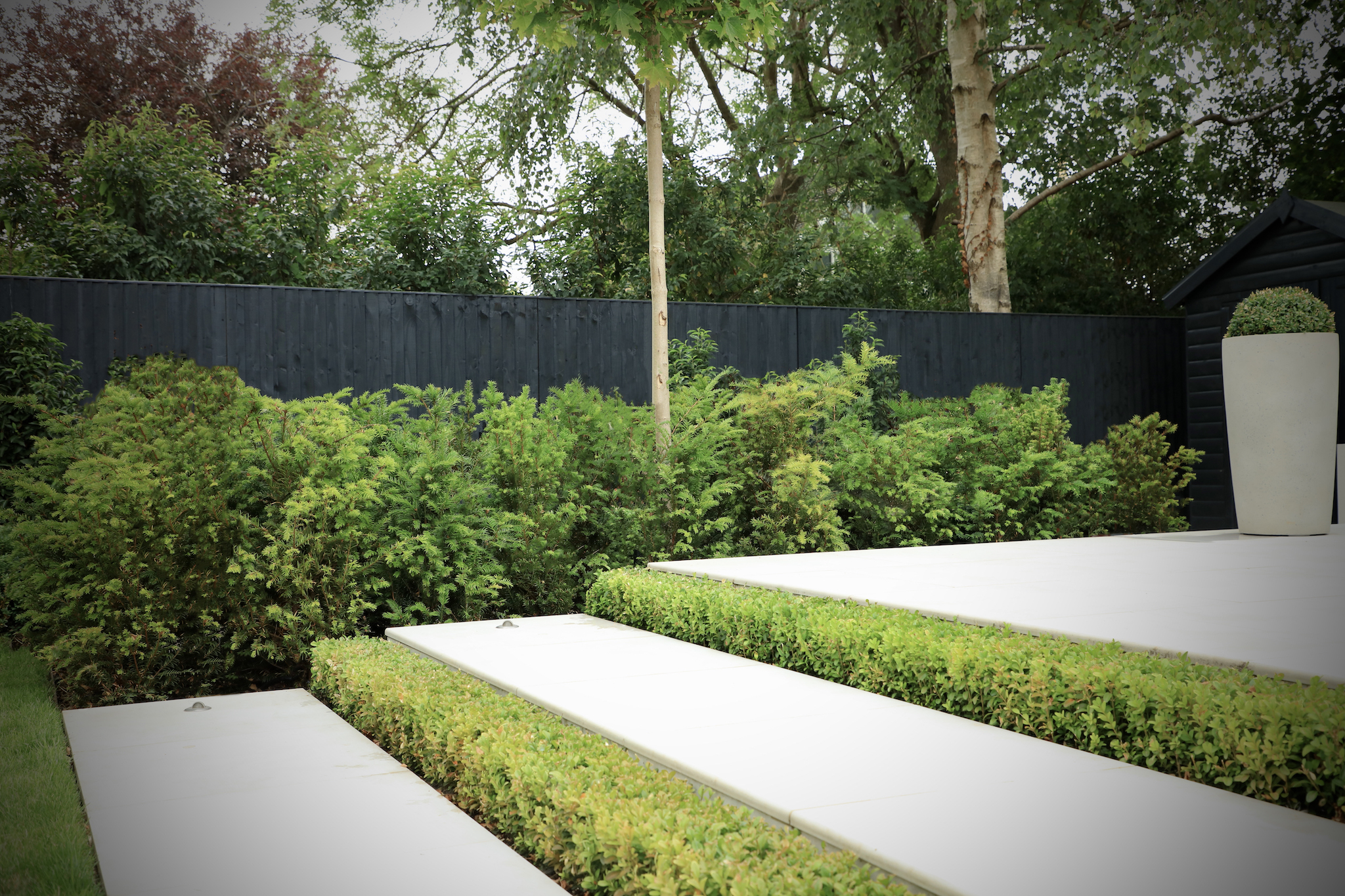 White porcelain tiles with Buxus planted in between