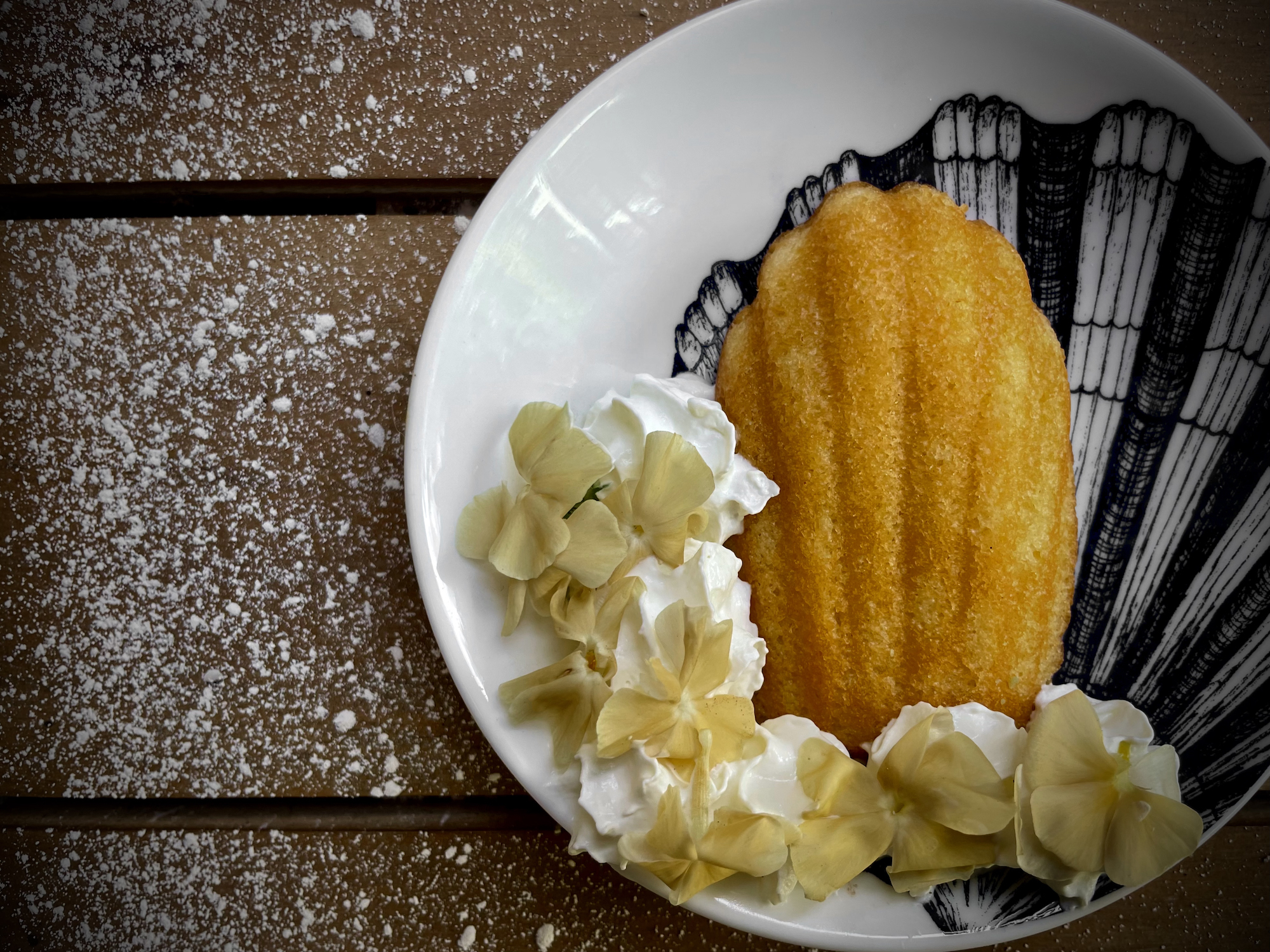 Shell shapes cake with sweet cream and edible phlox