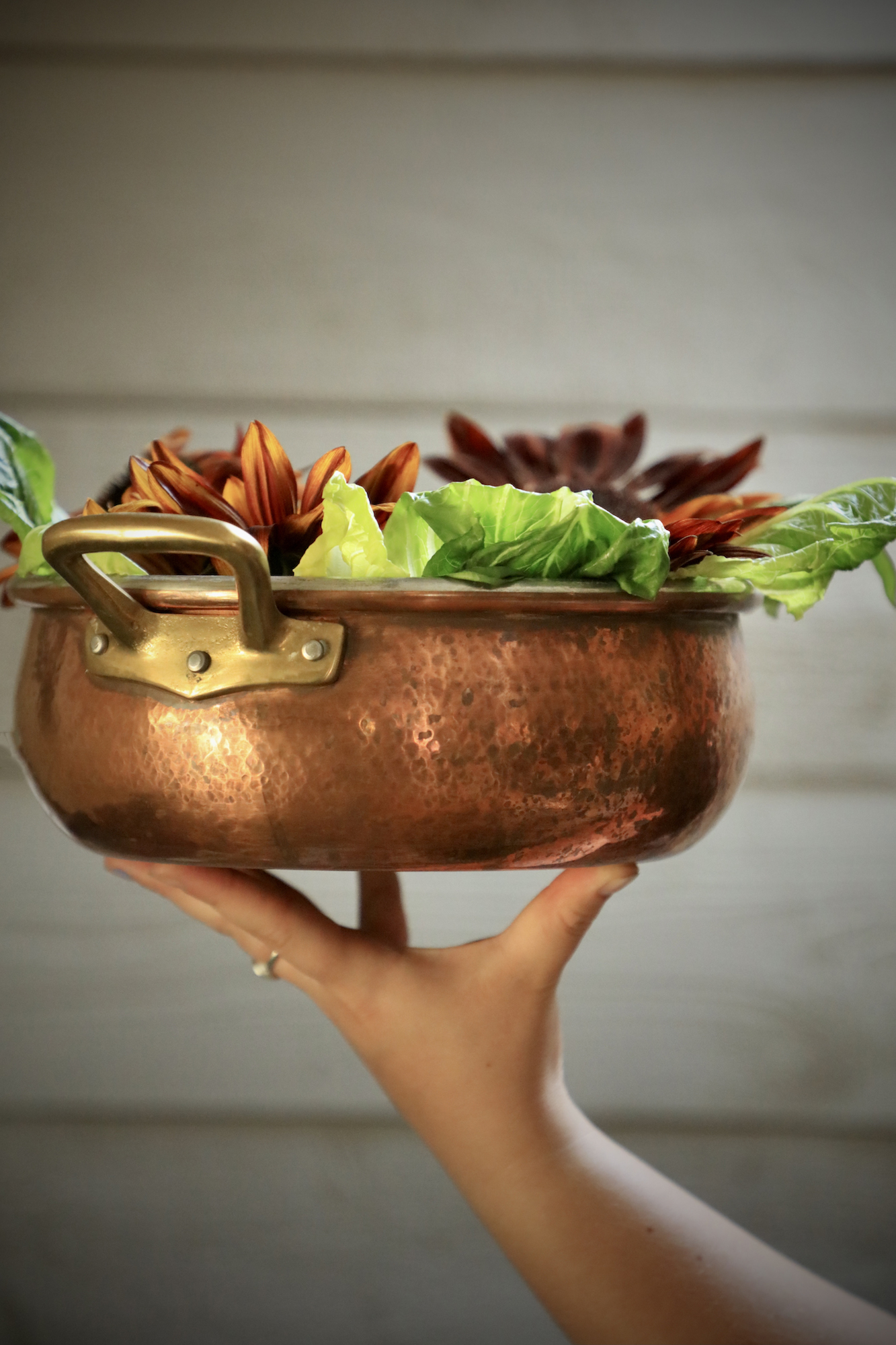 Copper pan with edible sunflower salad 
