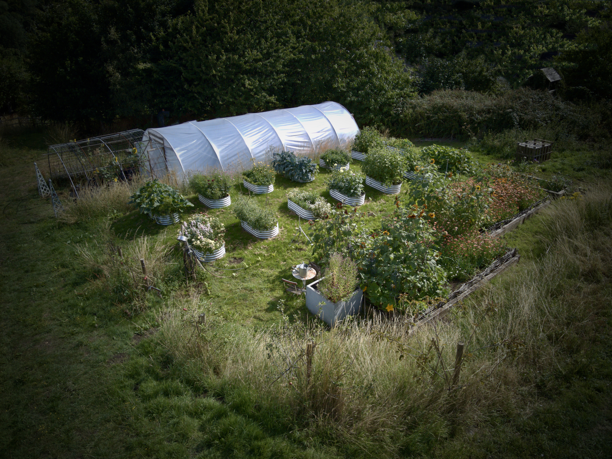 Productive garden with polytunnel and growing cylinders