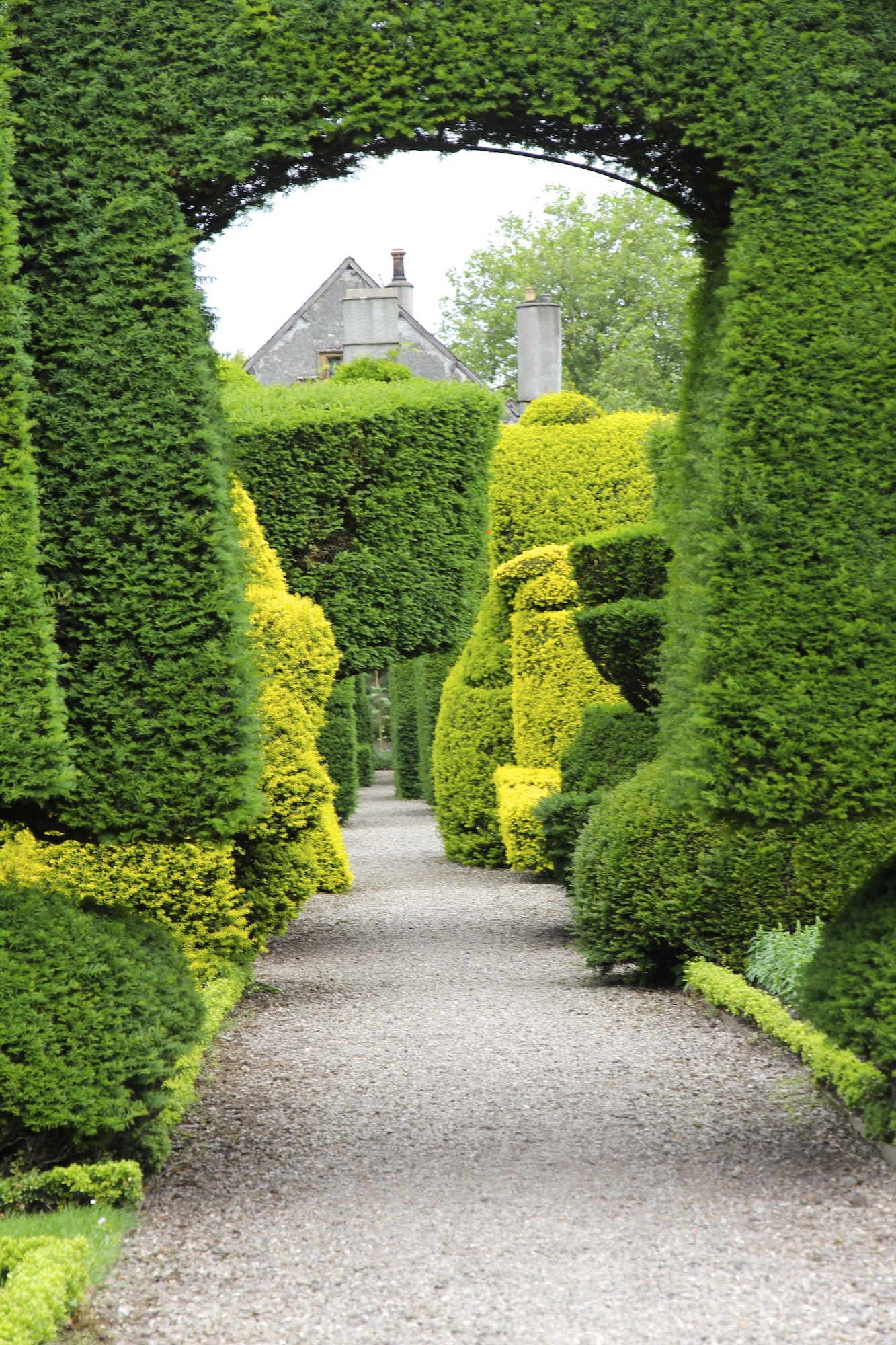 Topiary garden in green shades