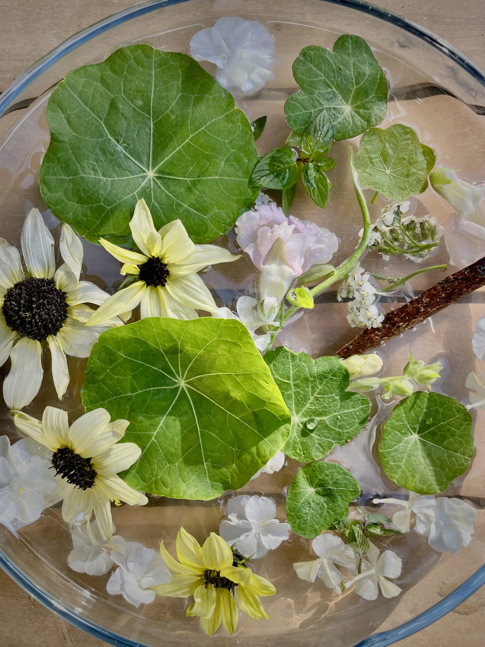 Nasturtiums sunflower violas snapdragon floating in clear glass water bowl