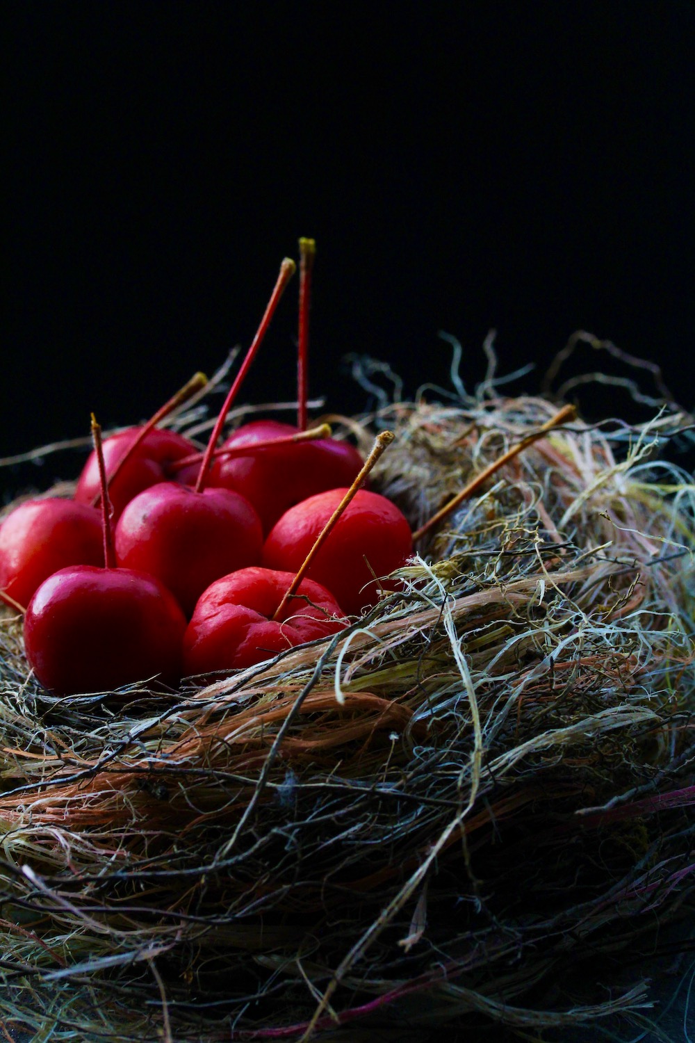 crab apples nestled inside birds nest