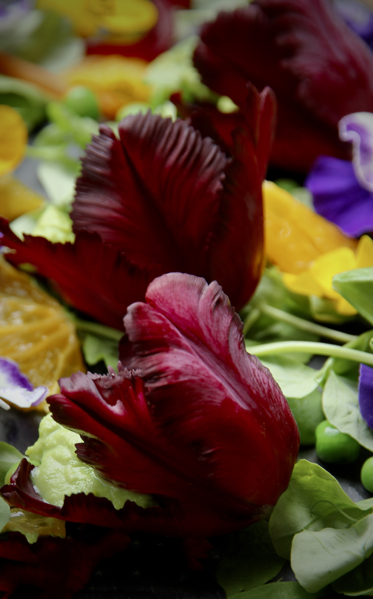 Spicy black parrot tulip stuffed with pea puree on a bed of edible flowers