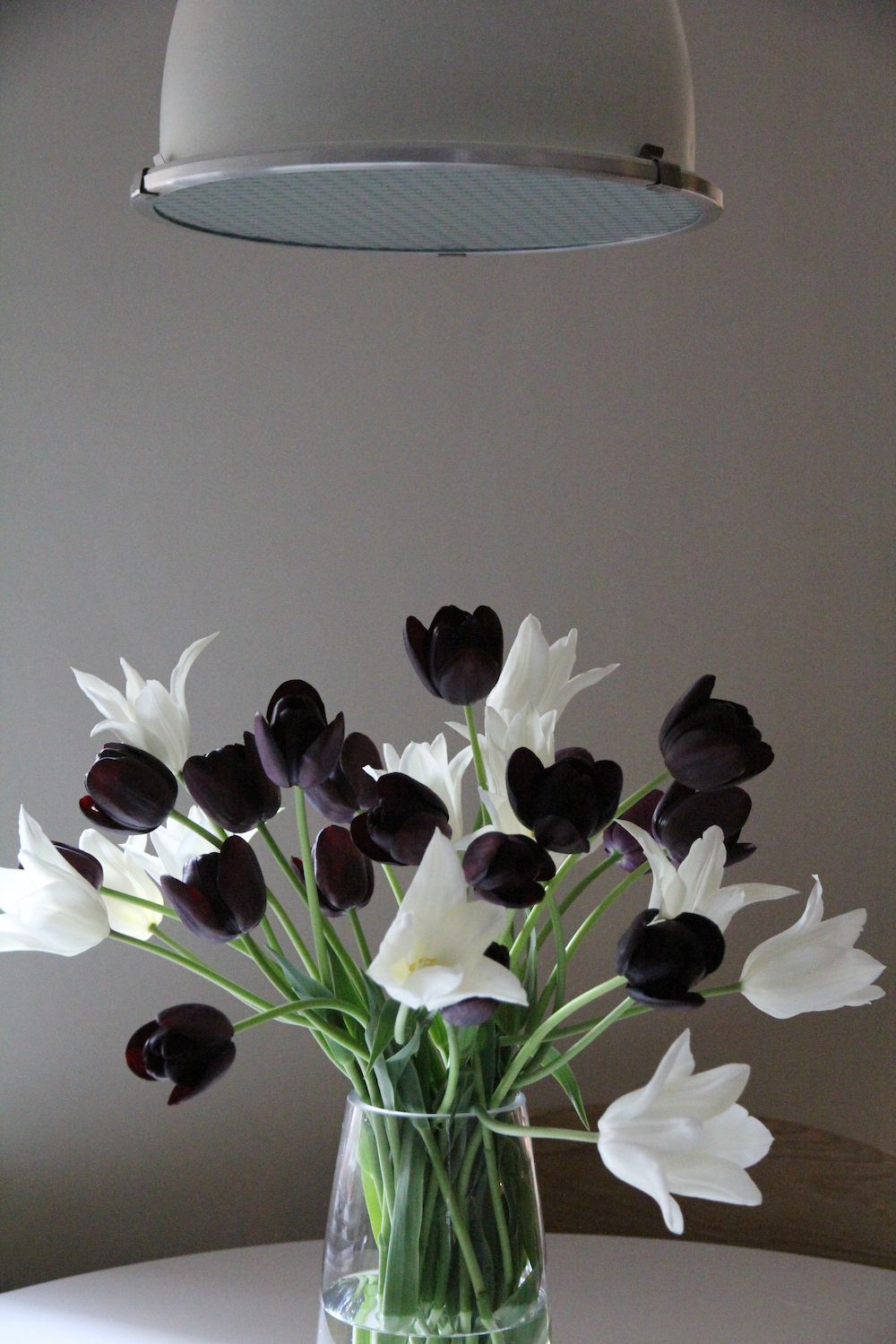 vase of black and white tulips under drop down light