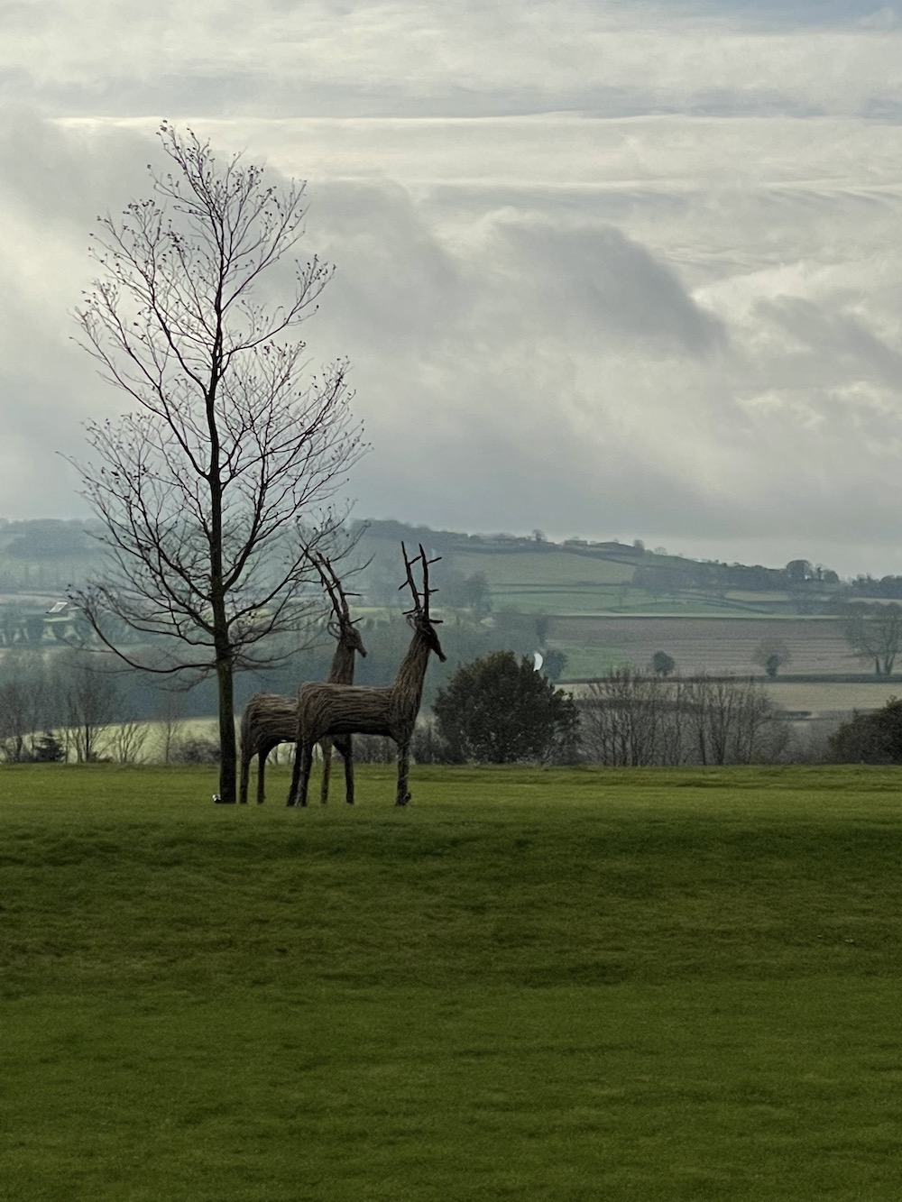 View of sibford gower with wooden life size reindeer