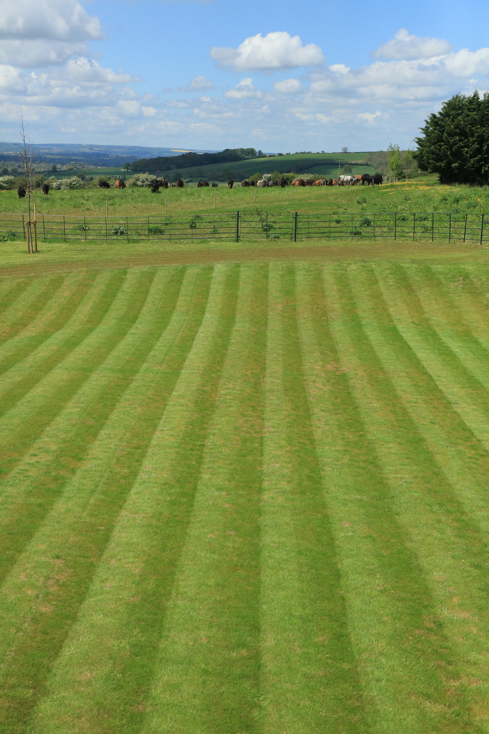 Mown lawn stripes at Sibford Park