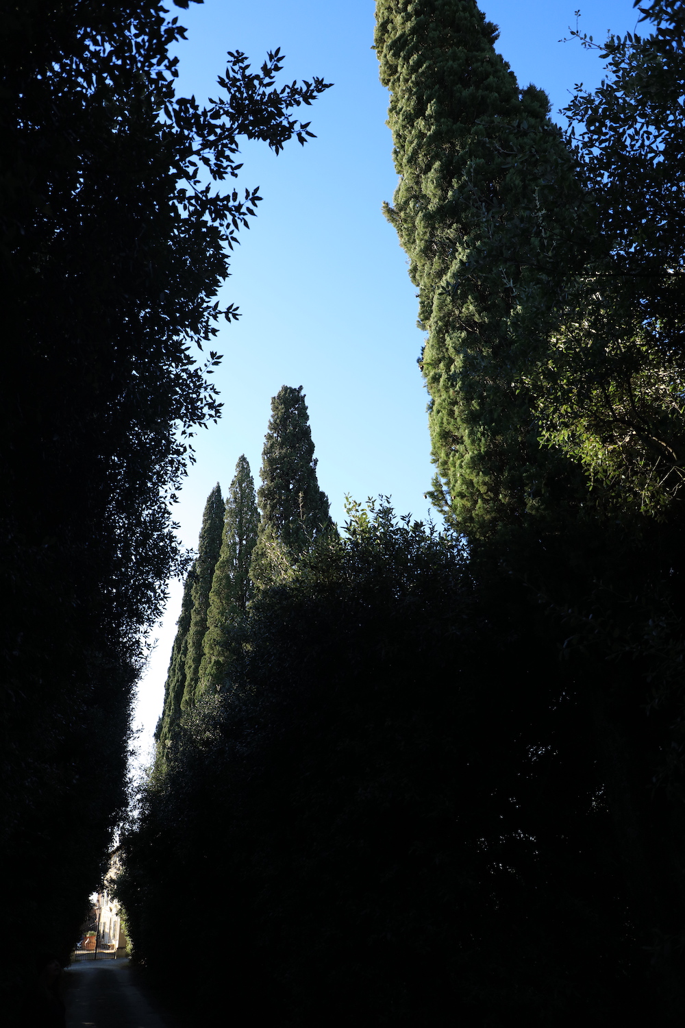 Tuscan sky with tall cypress trees framing a villa 