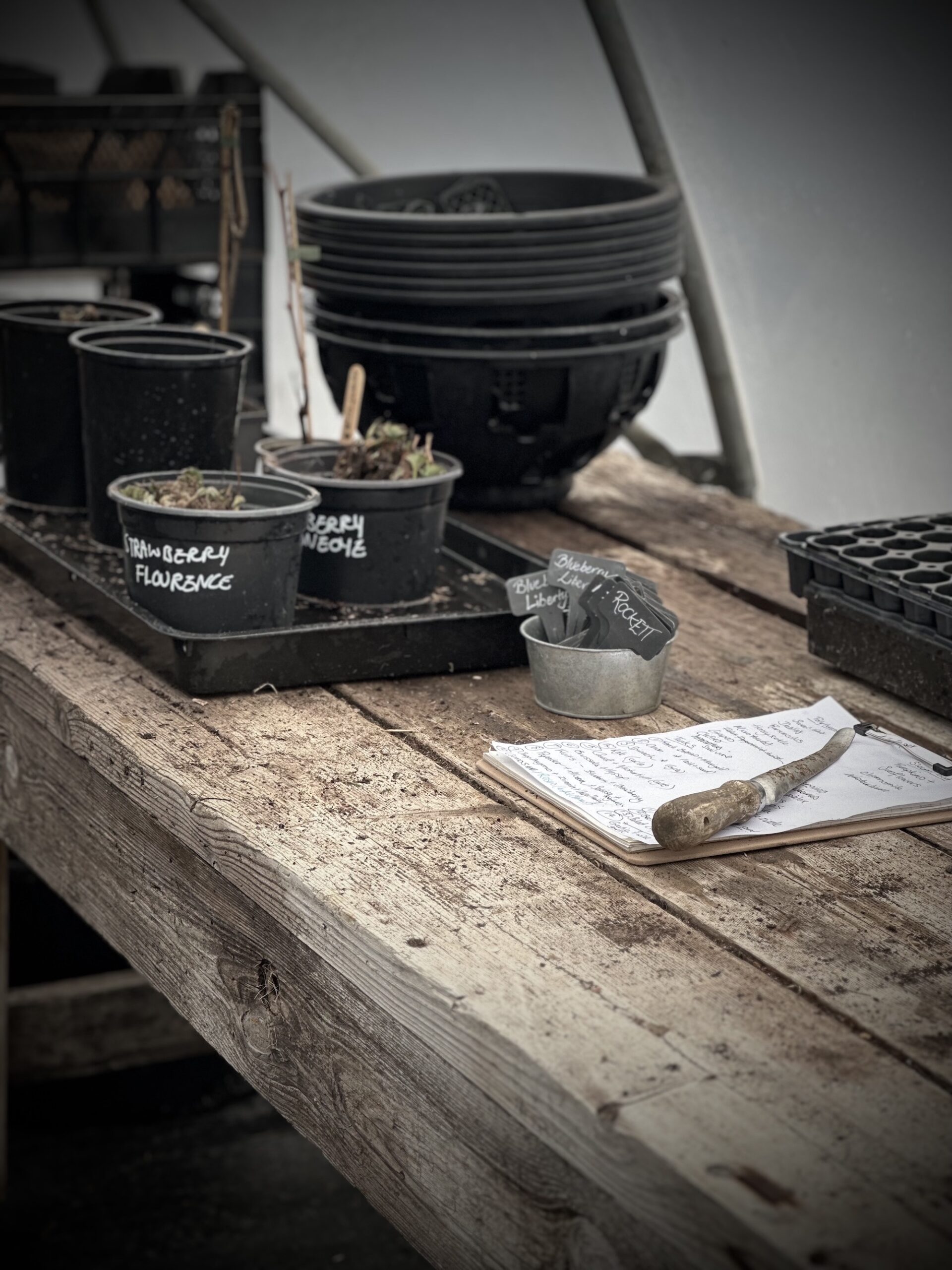 A work bench inside productive garden poly tunnel filled preparing for seed planting