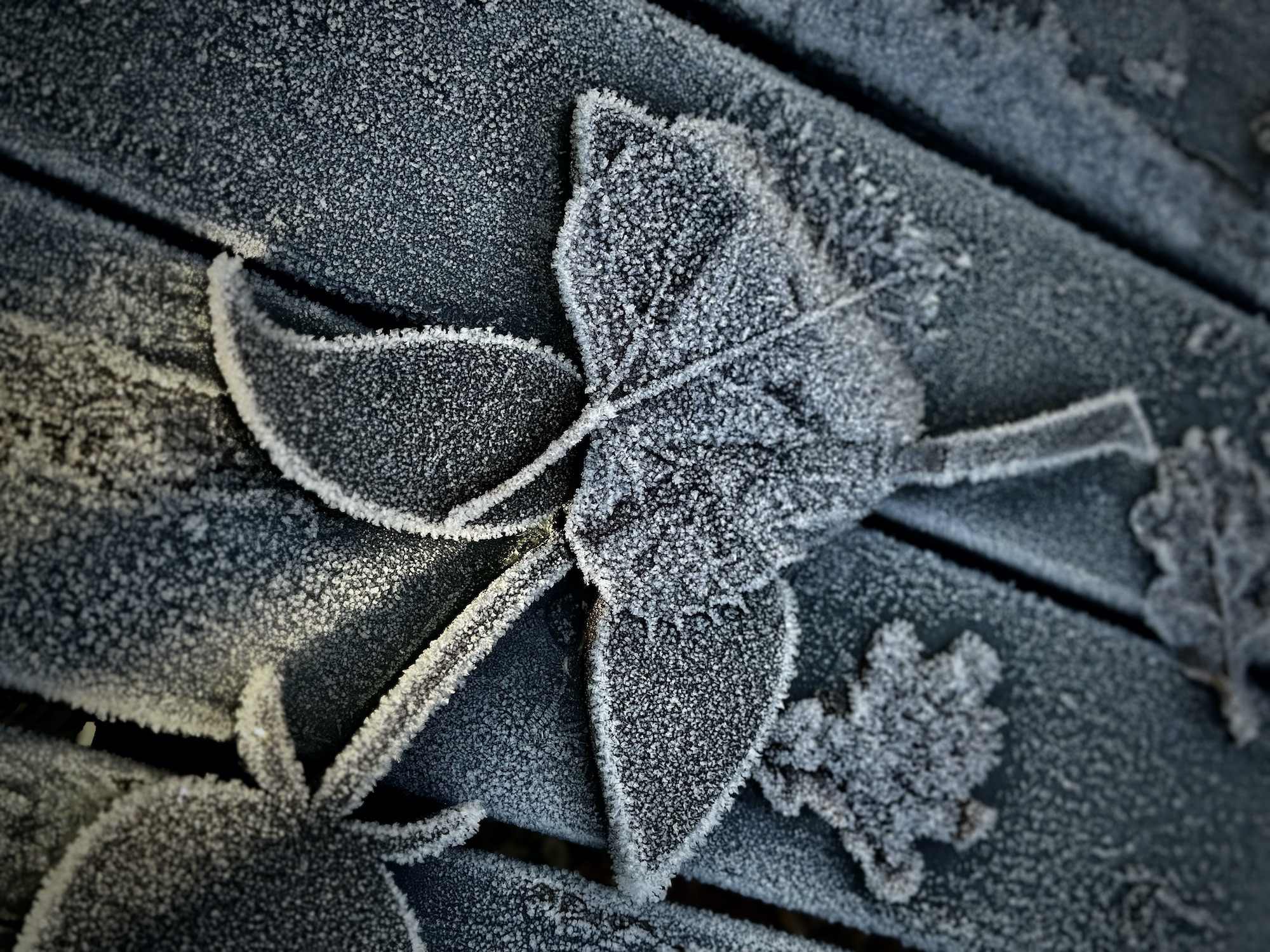 Frosty garden table with metal cut out florals